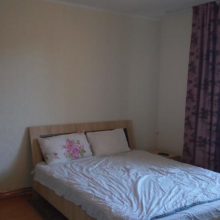 Central Apartment 2 ティミショアラ エクステリア 写真