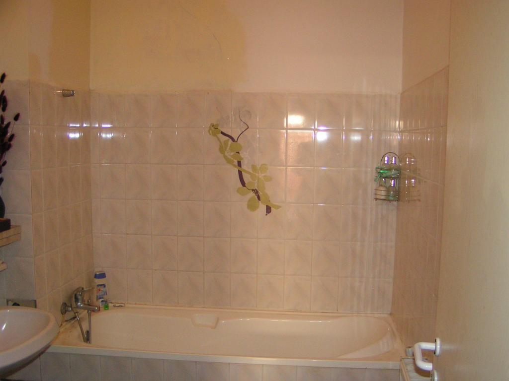 Central Apartment 2 ティミショアラ エクステリア 写真
