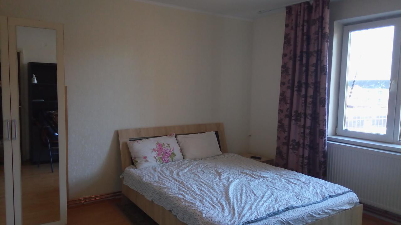 Central Apartment 2 ティミショアラ エクステリア 写真
