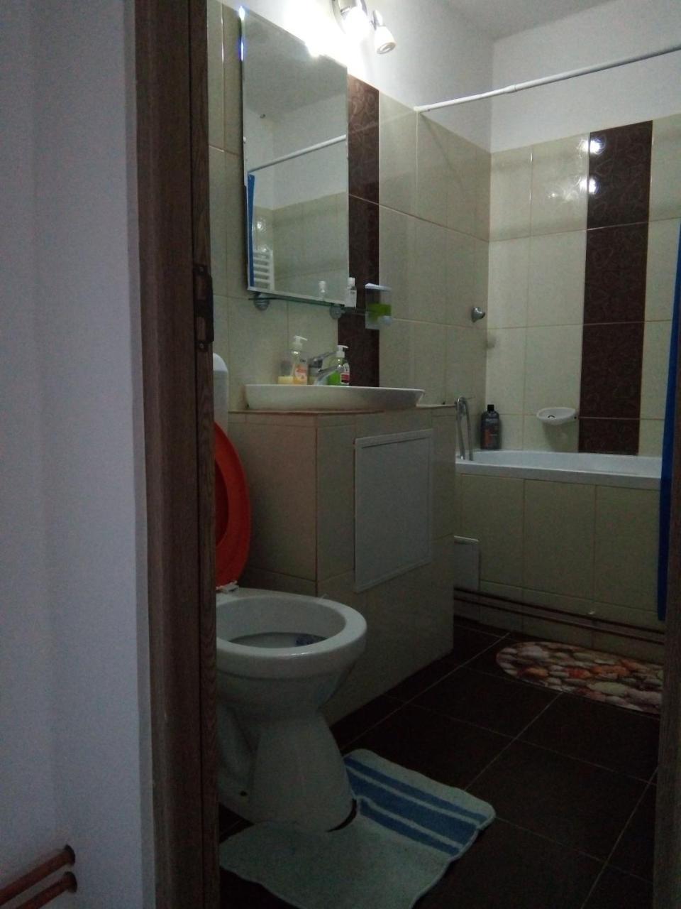 Central Apartment 2 ティミショアラ エクステリア 写真