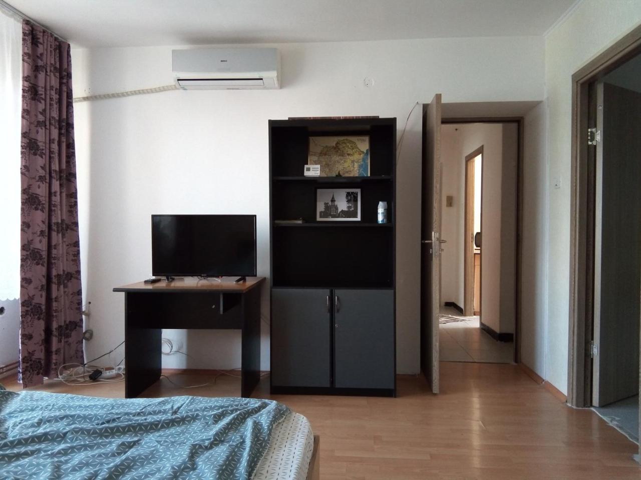 Central Apartment 2 ティミショアラ エクステリア 写真