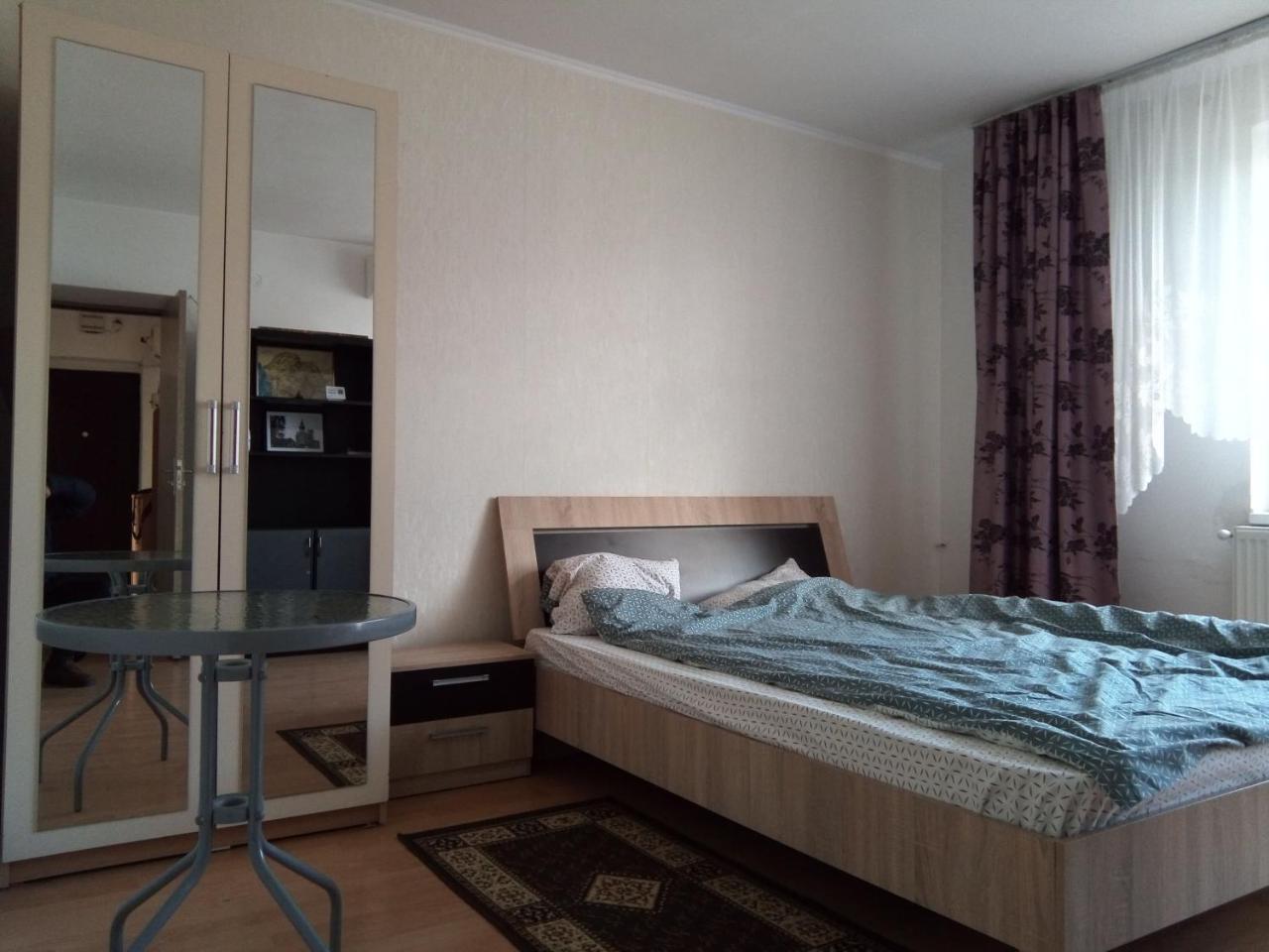Central Apartment 2 ティミショアラ エクステリア 写真
